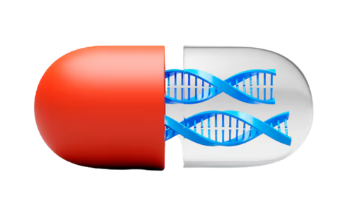 Process Development Laboratory